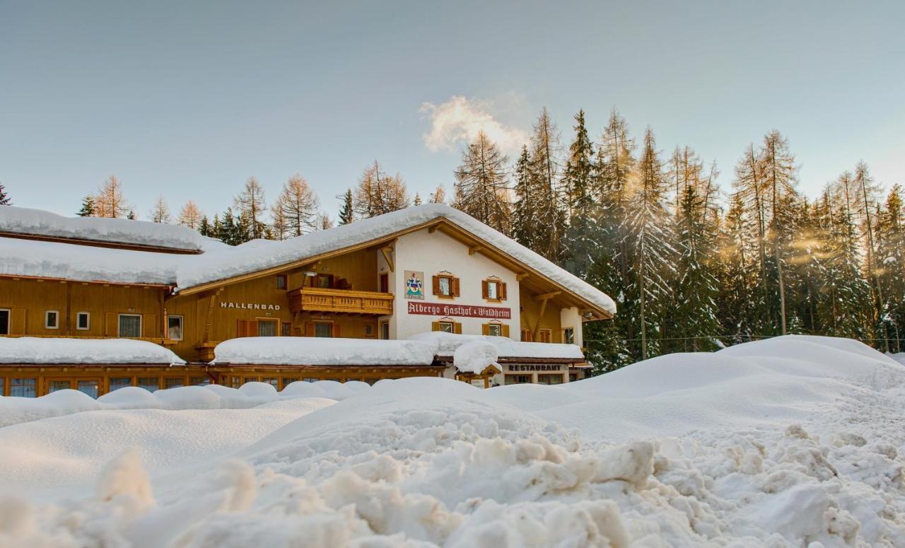 Hotel Waldheim Sarnonico Eksteriør billede